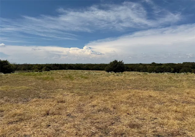 Photo 3 of Land for sale at Tbd Lone Tree St, Nevada, TX 75173 | MLS# 21382908 | Listing updated on 2026-09-12