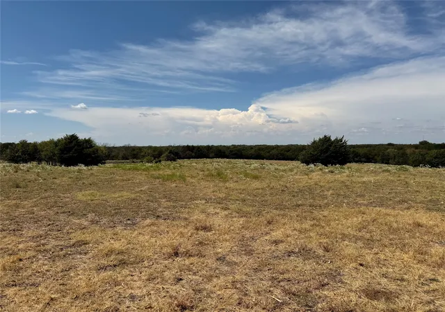 Photo 3 of Land for sale at Tbd Lone Tree St, Nevada, TX 75173 | MLS# 21382908 | Listing updated on 2026-09-12