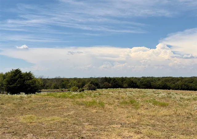 Photo 4 of Land for sale at Tbd Lone Tree St, Nevada, TX 75173 | MLS# 21382908 | Listing updated on 2026-09-12