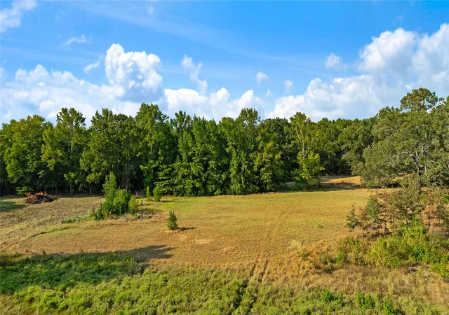 Photo 3 of Land for sale at 6517 County Rd 45600, Blossom, TX 75416 | MLS# 21381147 | Listing updated on 2026-09-12