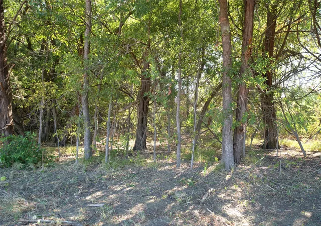 Photo 2 of Land for sale at 43 County Rd 42351, Paris, TX 75462 | MLS# 21383907 | Listing updated on 2026-09-12