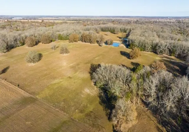 Photo 18 of Land for sale at 446 Fm 274, Ravenna, TX 75476 | MLS# 21384043 | Listing updated on 2026-09-17