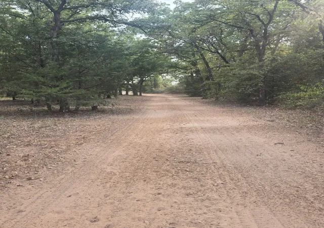 Photo 1 of Land for sale at 490 Hcr 1250, Whitney, TX 76692 | MLS# 21374009 | Listing updated on 2026-09-12