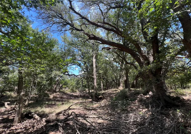 Photo 2 of Land for sale at 137 County Rd, Cisco, TX 76437 | MLS# 21384428 | Listing updated on 2026-09-12