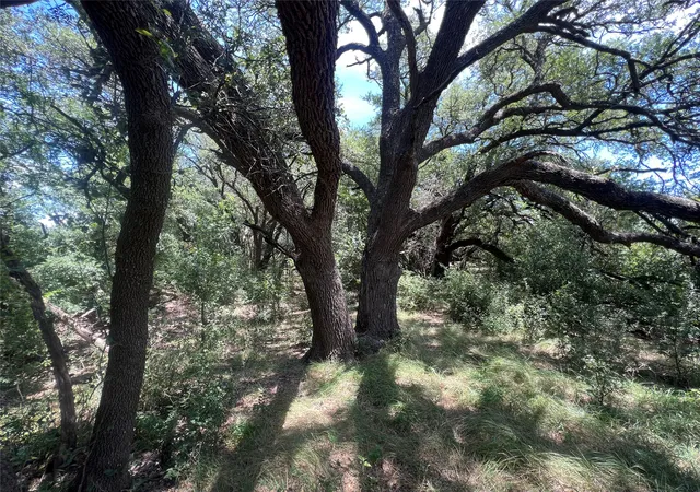 Photo 3 of Land for sale at 137 County Rd, Cisco, TX 76437 | MLS# 21384428 | Listing updated on 2026-09-12