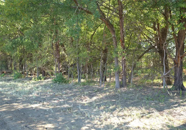 Photo 2 of Land for sale at 55 County Rd 42351, Paris, TX 75462 | MLS# 21384555 | Listing updated on 2026-09-12