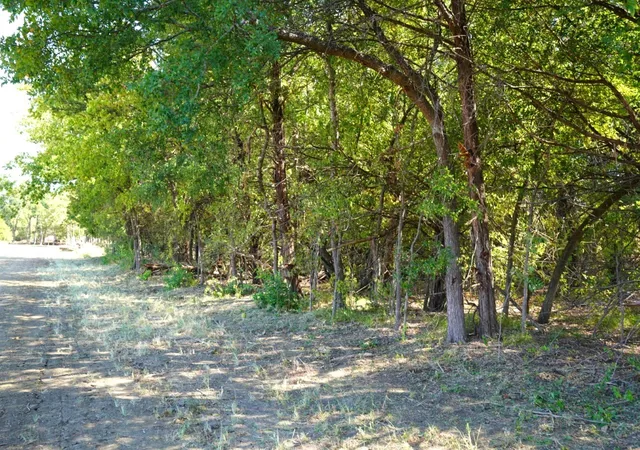 Photo 3 of Land for sale at 55 County Rd 42351, Paris, TX 75462 | MLS# 21384555 | Listing updated on 2026-09-12