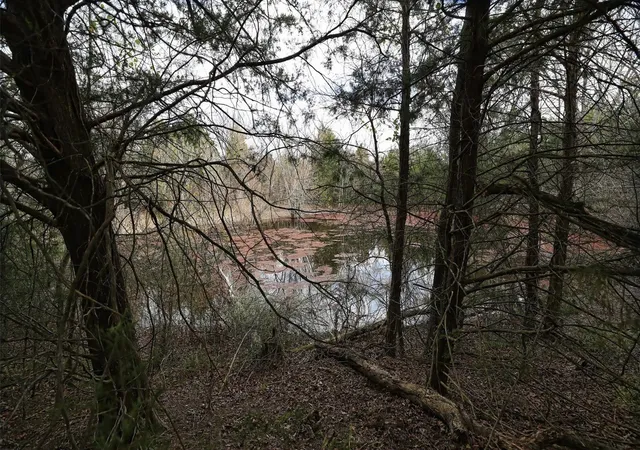 Photo 2 of Land for sale at 291 Vz County Rd 3847, Wills Point, TX 75169 | MLS# 21384136 | Listing updated on 2026-09-12
