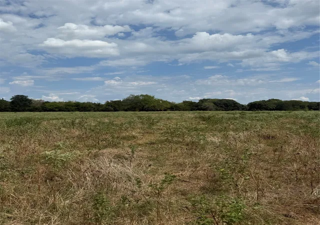 Photo 3 of Land for sale at 291 Vz County Rd 3847, Wills Point, TX 75169 | MLS# 21384136 | Listing updated on 2026-09-12