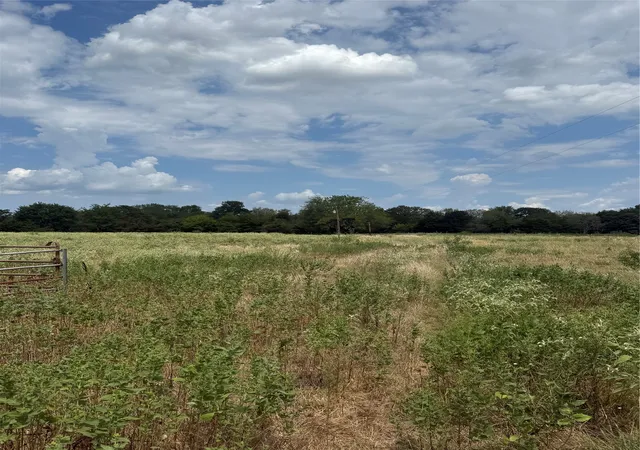 Photo 4 of Land for sale at 291 Vz County Rd 3847, Wills Point, TX 75169 | MLS# 21384136 | Listing updated on 2026-09-12