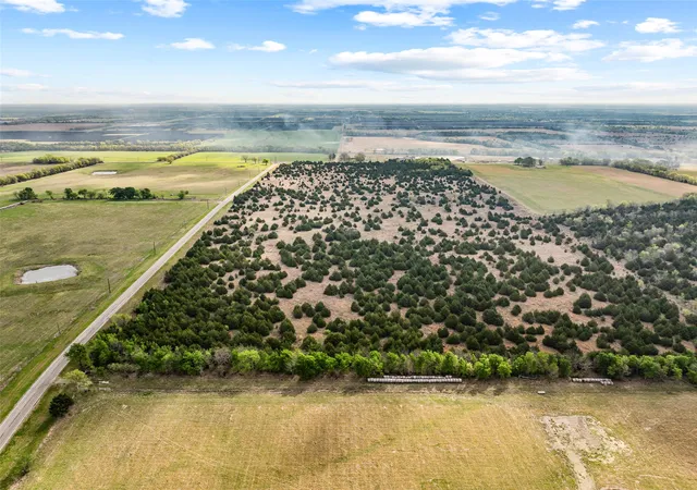 Photo 3 of Land for sale at Tbd Lot 1 Fm 128, Cooper, TX 75432 | MLS# 21384603 | Listing updated on 2026-09-12