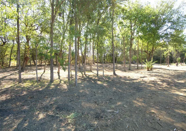 Photo 4 of Land for sale at 77 County Rd 42351, Paris, TX 75462 | MLS# 21384628 | Listing updated on 2026-09-12