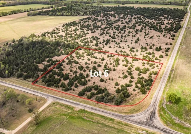 Photo 4 of Land for sale at Tbd Lot 6 Fm 128, Cooper, TX 75432 | MLS# 21384625 | Listing updated on 2026-09-12