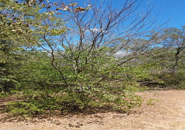 Photo 2 of Land for sale at 1415 S Barry Ave, Dallas, TX 75223 | MLS# 21384691 | Listing updated on 2026-09-14