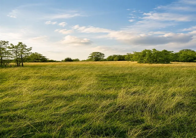 Photo 3 of Land for sale at Lot 10 Pleasant Hl Rd, Sunset, TX 76270 | MLS# 21372279 | Listing updated on 2026-09-12