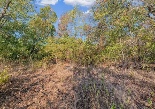 Photo 3 of Land for sale at 303 N Waco St, Mart, TX 76664 | MLS# 21344818 | Listing updated on 2026-09-13