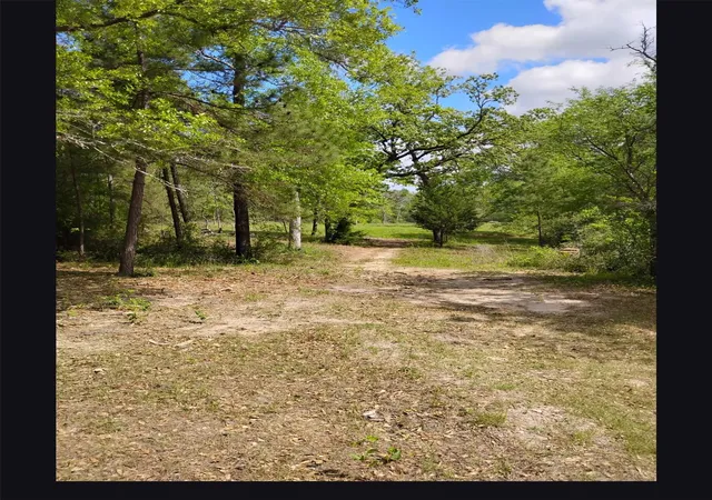 Photo 3 of Land for sale at Tbd State Hwy 19, Huntsville, TX 77320 | MLS# 21332515 | Listing updated on 2026-09-13