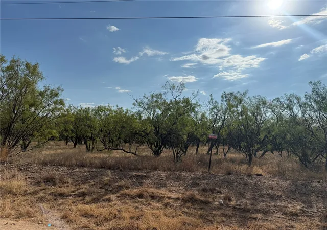 Photo 2 of Land for sale at Tbd Avenue E, Anson, TX 79501 | MLS# 21380985 | Listing updated on 2026-09-15