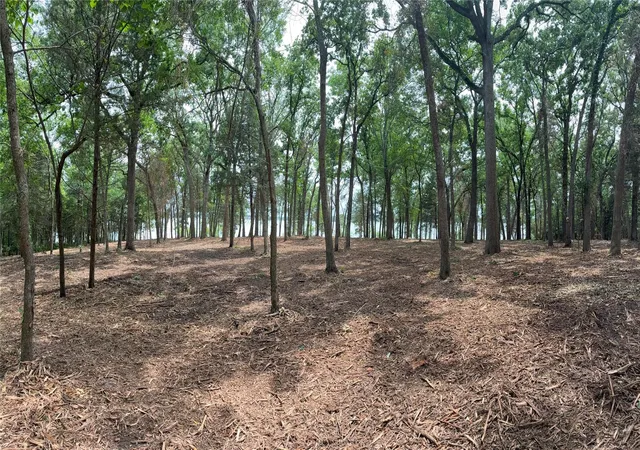 Photo 3 of Land for sale at 1981 Underwood 1b, Quinlan, TX 75474 | MLS# 21385428 | Listing updated on 2026-09-14