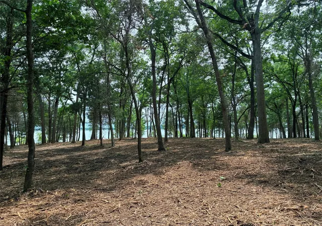 Photo 3 of Land for sale at 1981 Underwood 1b, Quinlan, TX 75474 | MLS# 21385428 | Listing updated on 2026-10-05