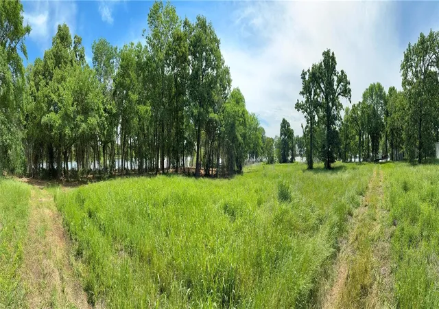 Photo 4 of Land for sale at 1981 Underwood 1a, Quinlan, TX 75474 | MLS# 21385429 | Listing updated on 2026-09-14