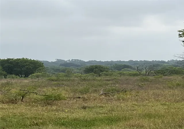 Photo 3 of Land for sale at Tbd West Hwy 84, Mexia, TX 76667 | MLS# 21385489 | Listing updated on 2026-09-14