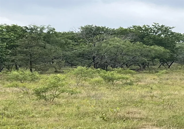 Photo 4 of Land for sale at Tbd West Hwy 84, Mexia, TX 76667 | MLS# 21385489 | Listing updated on 2026-09-14