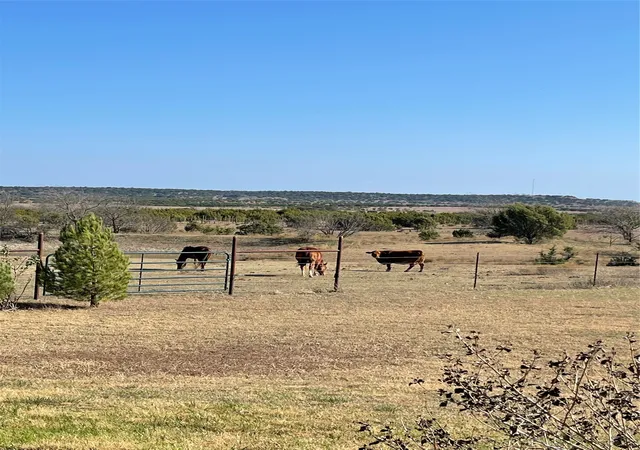 Photo 2 of Land for sale at 2473 Cr 199, Iredell, TX 76649 | MLS# 21385607 | Listing updated on 2026-09-14