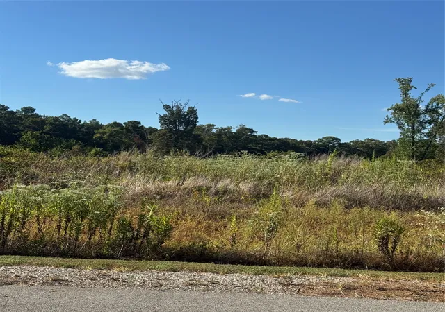 Photo 3 of Land for sale at Lot 56 Ridgeline Loop, Winona, TX 75792 | MLS# 21384790 | Listing updated on 2026-09-23