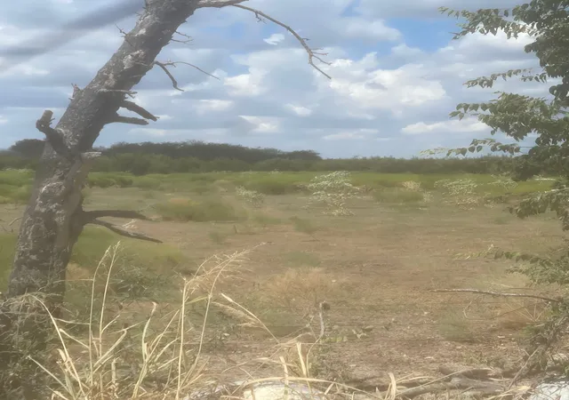 Photo 2 of Land for sale at 2473 Cr 199b, Iredell, TX 76649 | MLS# 21385611 | Listing updated on 2026-09-14