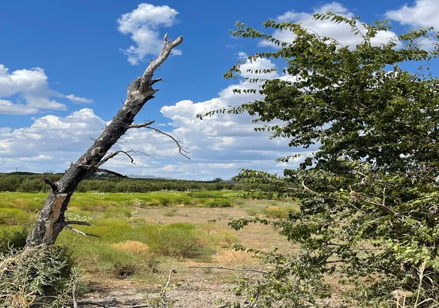 Photo 3 of Land for sale at 2473 Cr 199b, Iredell, TX 76649 | MLS# 21385611 | Listing updated on 2026-09-14