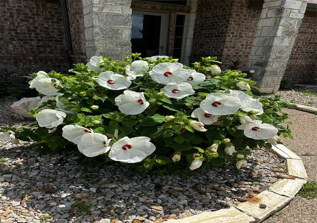 Photo 2 of Single family home for sale at 1236 Woodbridge Ct, Willow Park, TX 76087 | MLS# 21382252 | Listing updated on 2026-10-02