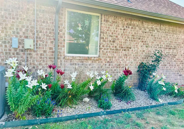 Photo 3 of Single family home for sale at 1236 Woodbridge Ct, Willow Park, TX 76087 | MLS# 21382252 | Listing updated on 2026-10-02