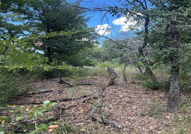 Photo 1 of Land for sale at 4 Haynie Dr, Runaway Bay, TX 76426 | MLS# 21385670 | Listing updated on 2026-09-14