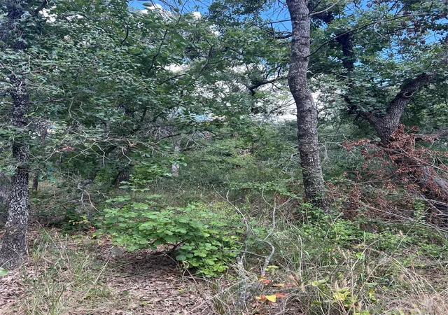 Photo 3 of Land for sale at 4 Haynie Dr, Runaway Bay, TX 76426 | MLS# 21385670 | Listing updated on 2026-09-14