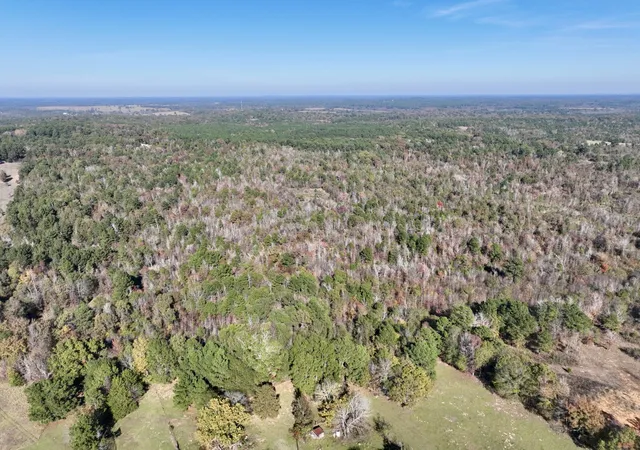Photo 2 of Land for sale at 21695 County Rd 240, Tyler, TX 75705 | MLS# 21385694 | Listing updated on 2026-09-14