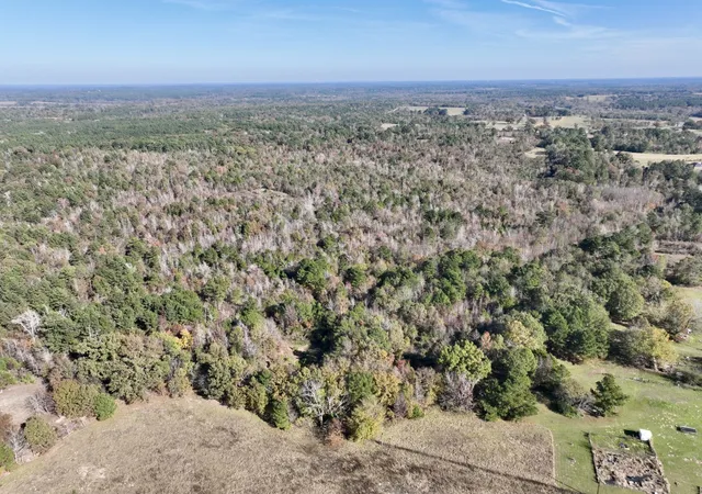 Photo 3 of Land for sale at 21695 County Rd 240, Tyler, TX 75705 | MLS# 21385694 | Listing updated on 2026-09-14