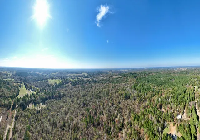 Photo 3 of Land for sale at 21695 County Rd 240, Tyler, TX 75705 | MLS# 21385694 | Listing updated on 2026-09-14