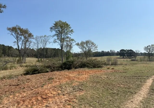 Photo 3 of Land for sale at W 1 W Cliff Keen Rd, Minden, LA 71055 | MLS# 21385898 | Listing updated on 2026-09-14