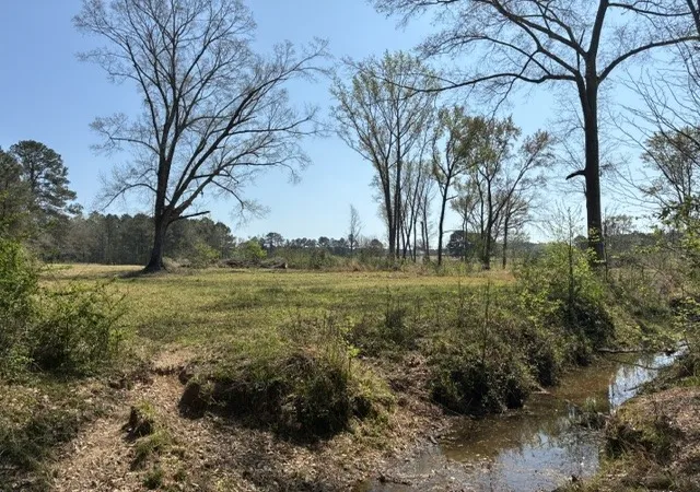 Photo 3 of Land for sale at W-1 W Cliff Keen Rd, Minden, LA 71055 | MLS# 21385898 | Listing updated on 2026-09-14
