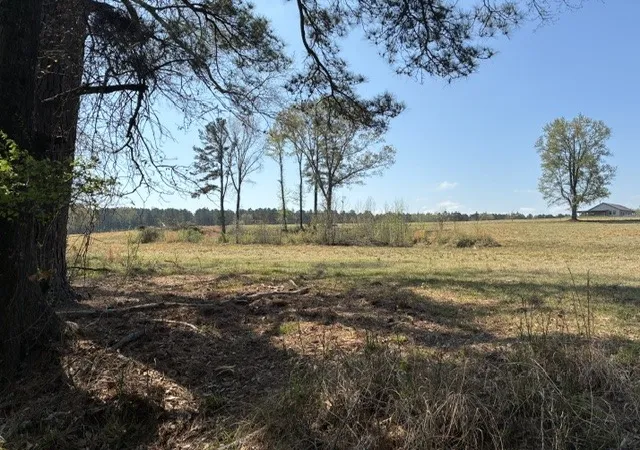 Photo 4 of Land for sale at W-1 W Cliff Keen Rd, Minden, LA 71055 | MLS# 21385898 | Listing updated on 2026-09-14