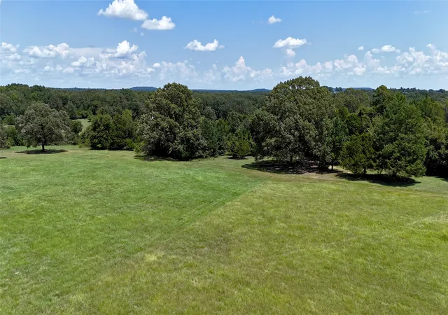 Photo 3 of Land for sale at Tbd Lee Dr, Murchison, TX 75778 | MLS# 21385961 | Listing updated on 2026-09-14