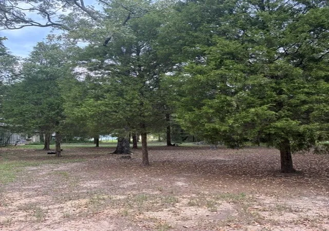 Land for sale at 000 Jim Bowie Ln, Malakoff, TX 75148 | MLS# 21386038