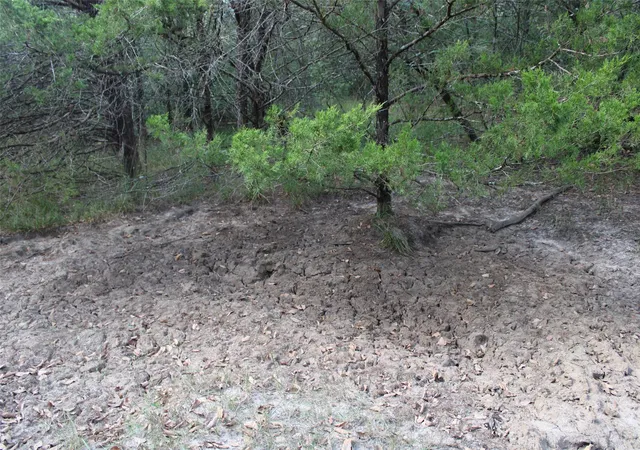 Photo 18 of Land for sale at 154 Lcr 410 154 Lcr 410, Groesbeck, TX 76642 | MLS# 21386120 | Listing updated on 2026-09-15