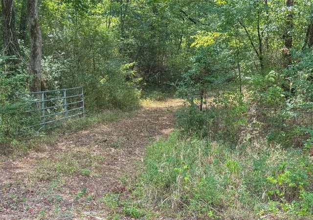 Photo 3 of Land for sale at Fm 1845 Pine Tree Rd, Longview, TX 75604 | MLS# 21386702 | Listing updated on 2026-10-05