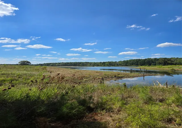 Photo 2 of Land for sale at 0 Highway 346, Stonewall, LA 71052 | MLS# 21390189 | Listing updated on 2026-10-20