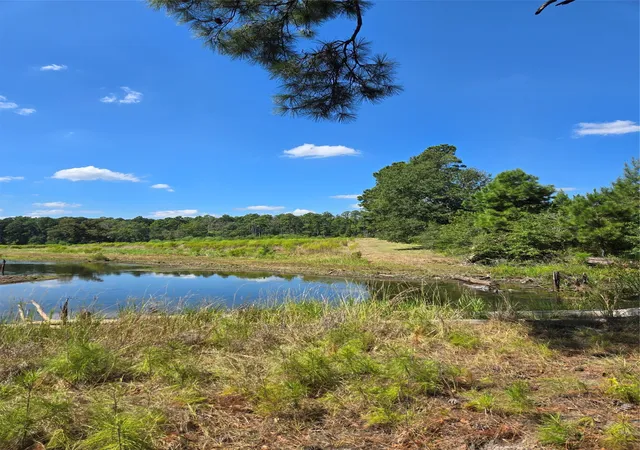 Photo 4 of Land for sale at 0 Highway 346, Stonewall, LA 71052 | MLS# 21390189 | Listing updated on 2026-10-20