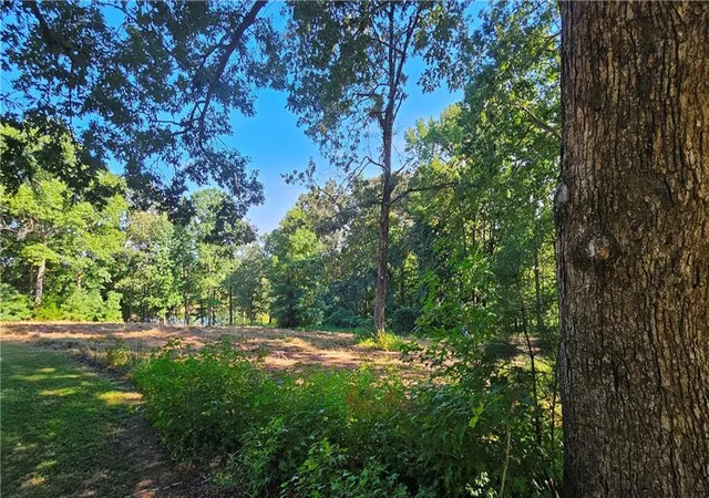 Land for sale at Lot 2 Snote Jones Rd, Dallas, GA 30132 | MLS# 7834875