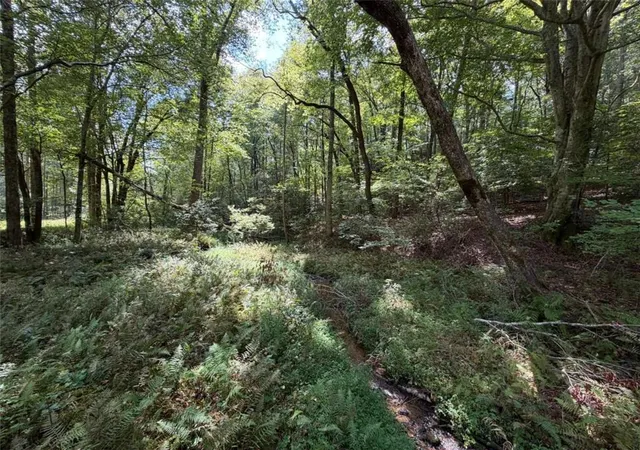Photo 3 of Sale Pending at 613ac Lucius Rd, Cherry Log, GA 30522 | MLS# 7841131 | Listing updated on 2026-09-22