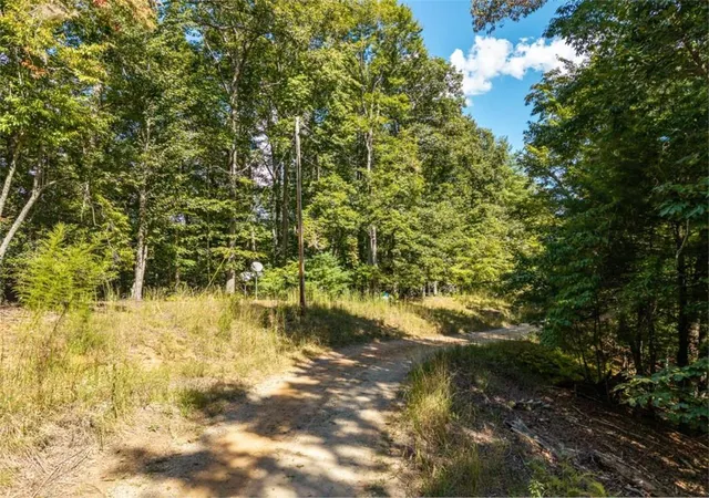 Photo 3 of Land for sale at Lt 27/ Donna Lee Ln, Mineral Bluff, GA 30559 | MLS# 7844086 | Listing updated on 2026-09-25